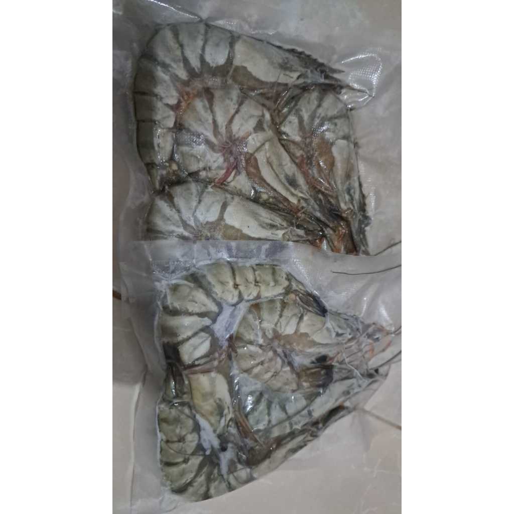 

Tiger prawn/udang tiger/udang windu/pancet 1kg (Size 15-16)