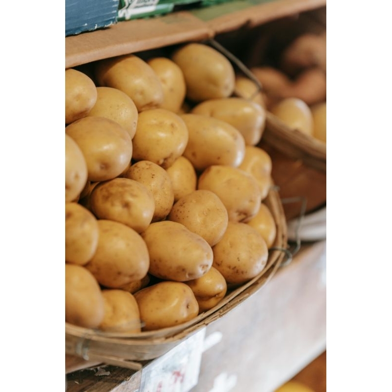 

Kentang Super Besar/Kecil Langsung Dari Petani