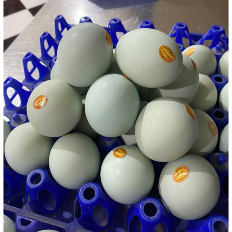

Telur Bebek Asin Omega