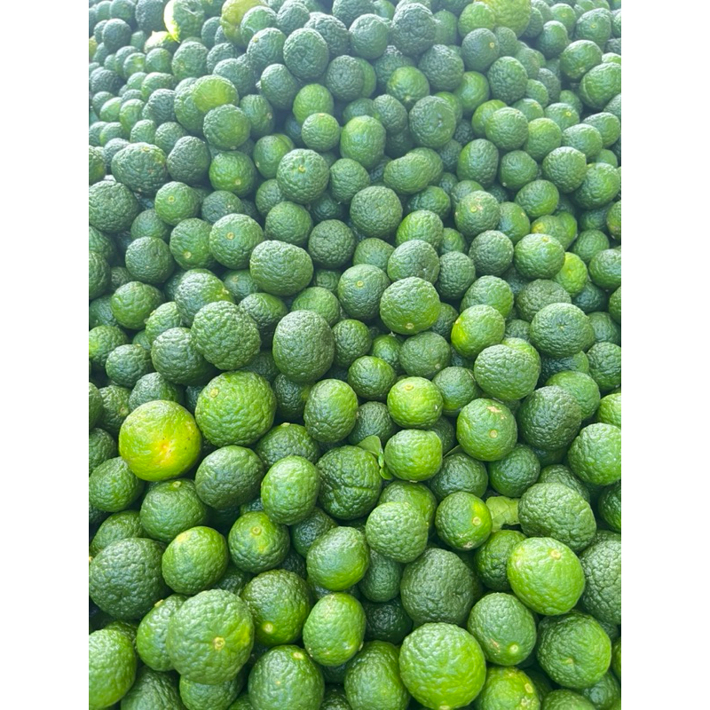 

jeruk limau/jeruk sambal/jeruk limo 500gram