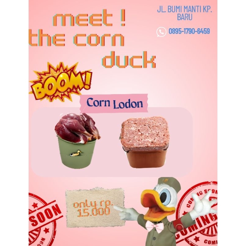

Kornet bebek