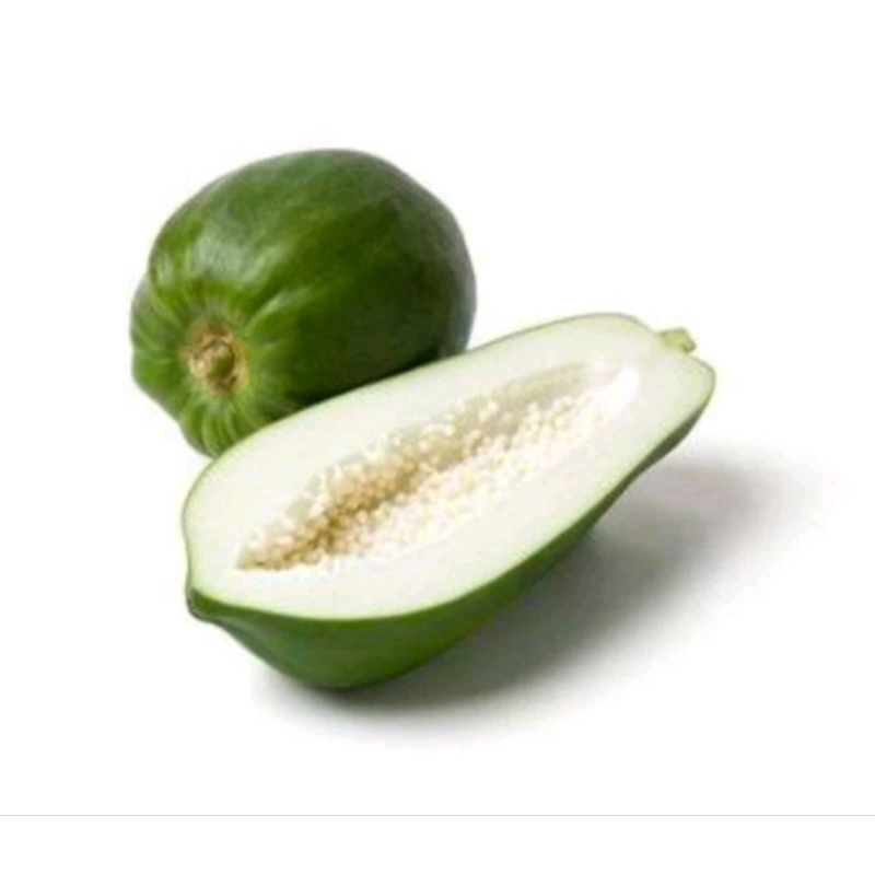 

Buah Pepaya mudah 1 pcs..