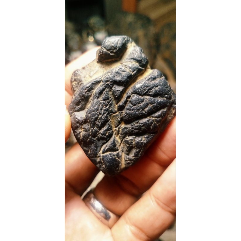 natural bahan sakral unik badar besi