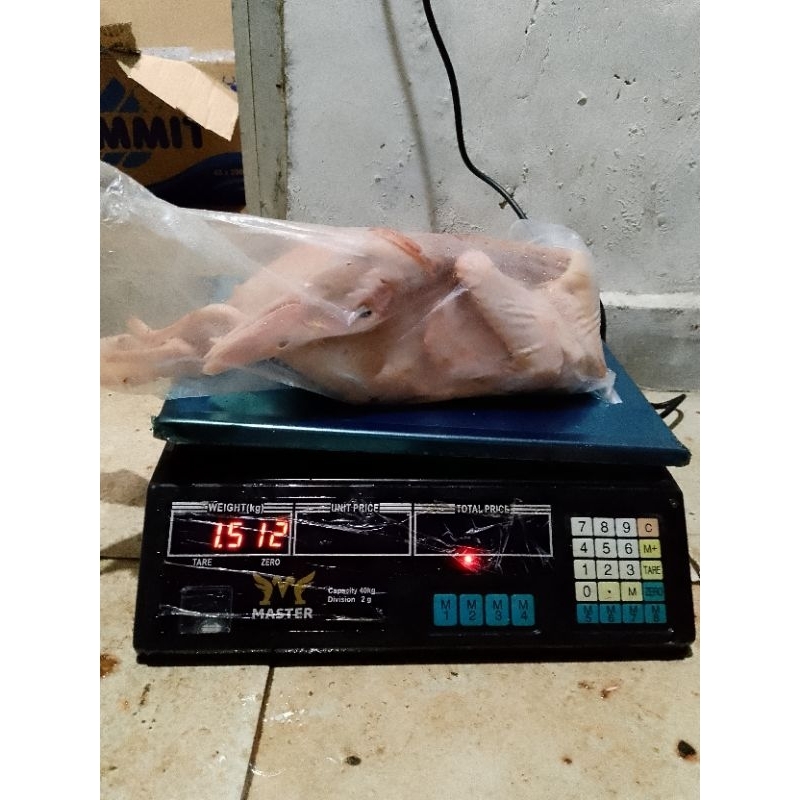 

bebek karkas hibrida murah berat 1,5kg up