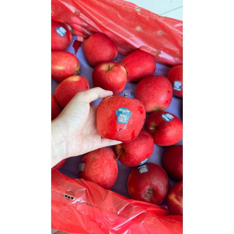 

APPLE DAZZLE (KG)