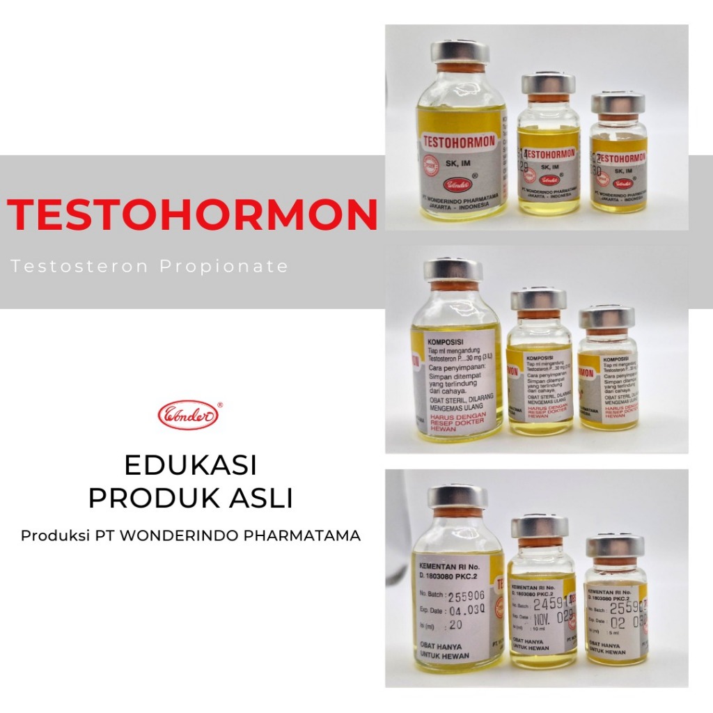 Testohormon obat jantan untuk hewan ternak dan kesayangan