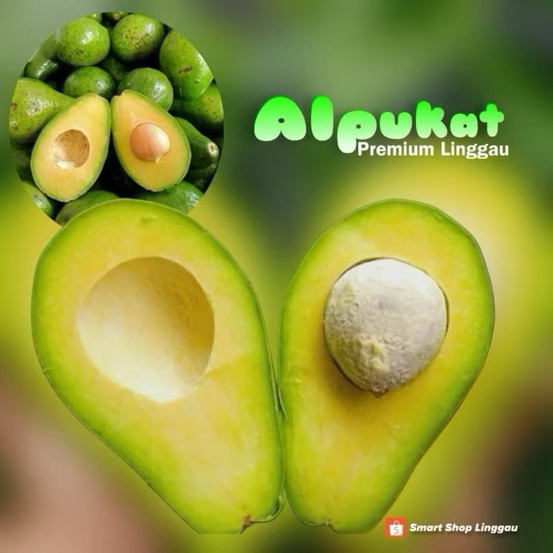 

Buah Alpukat / Pokad / Vokad / Avokado / Pokat Mentega Premium Asli Linggau Segar dijamin