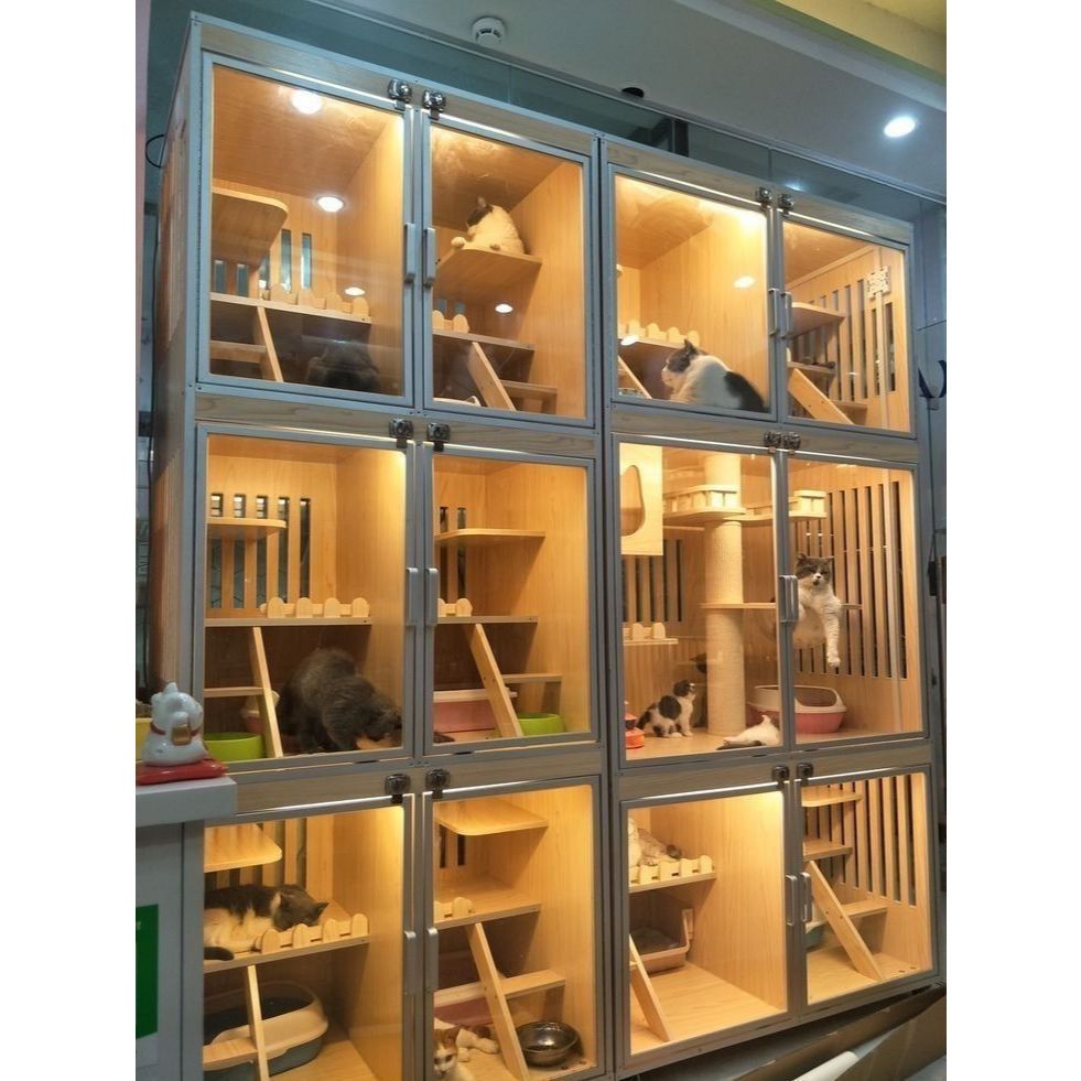 Kandang kucing, pudle, kelinci Cat aviary Anabul