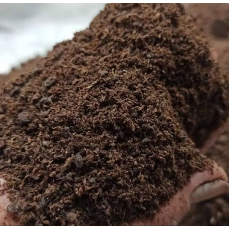 kohe kambing halus / giling