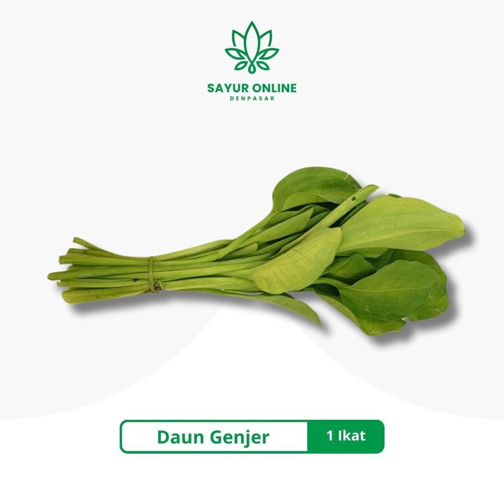 

Daun Genjer 1 Ikat - Sayur Online Denpasar