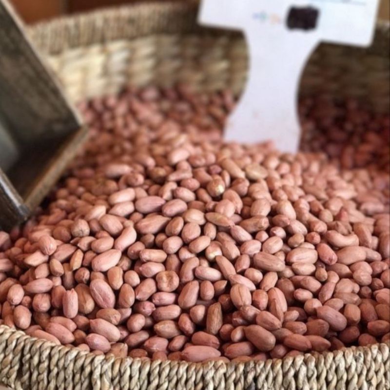 

Kacang Tanah Kupas Mentah Kualitas Bagus – 250gr / 500gr / 1kg – Siap Goreng / Masak / Cemilan