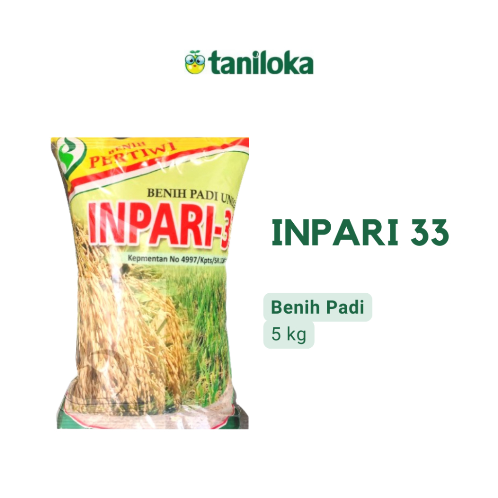 Benih Pertiwi - Benih Padi Inpari 33 (5 Kg)