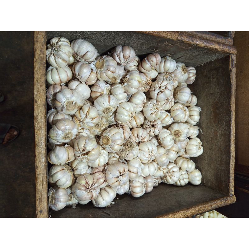 

Bawang Putih Banci 500 g