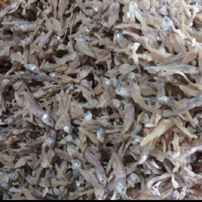 

ikan teri bunga 250 gram asin dan tawar