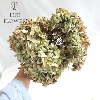 Bunga Kering Hydrangea 1Batang / Dried Hydrangea / Dried Flower / Bunga Bokor Kering / Jefe Flower