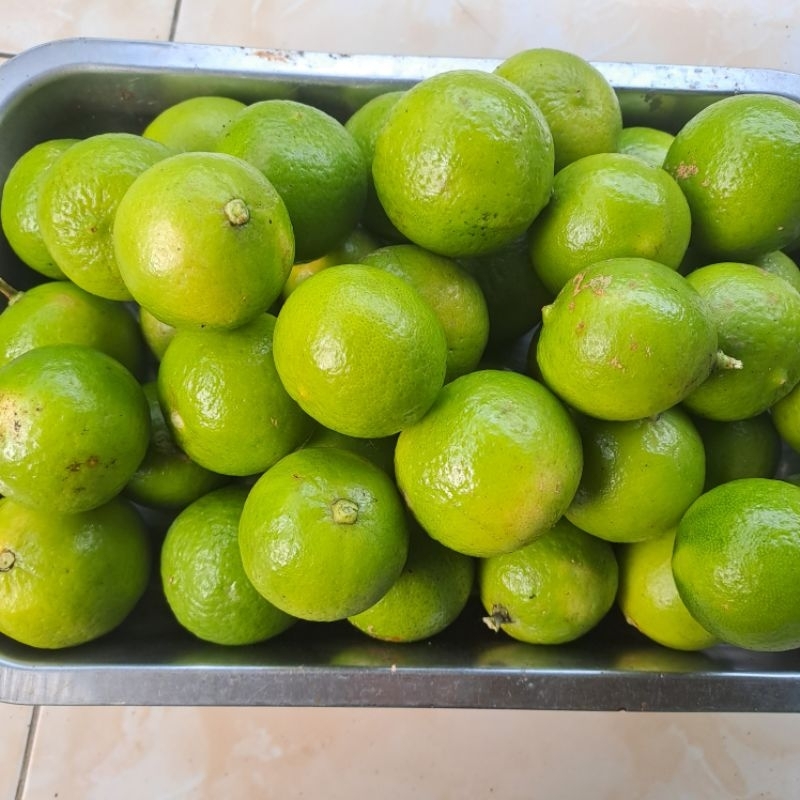 

Jeruk Pecel/Nipis Asli, Airnya Banyak, dan Fresh Petik 1 Kg