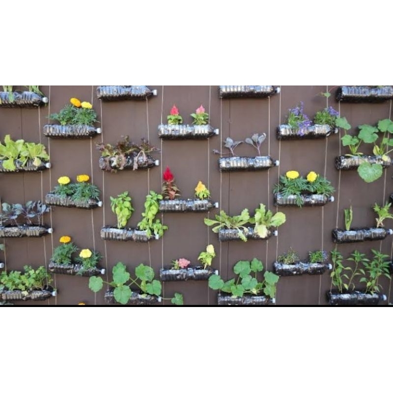 pot gantung polos dari botol bekas 1.5 liter isi 8pcs