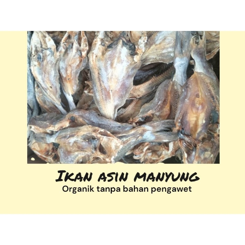 

IkanasinManyung