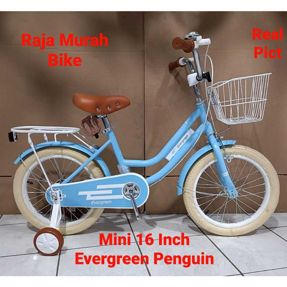 Sepeda Anak Perempuan Mini 16 Inch Evergreen Penguin Sepeda Anak Mini Penguin Evergreen 16 Inch Terb