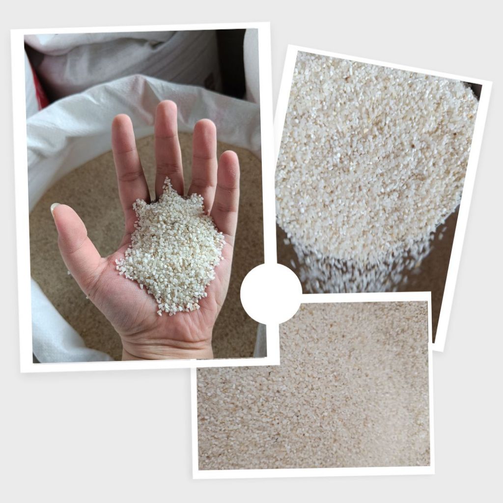 BERAS MENIR - UNTUK CAMPURAN PAKAN AYAM, BURUNG, DLL - PER 1 KG