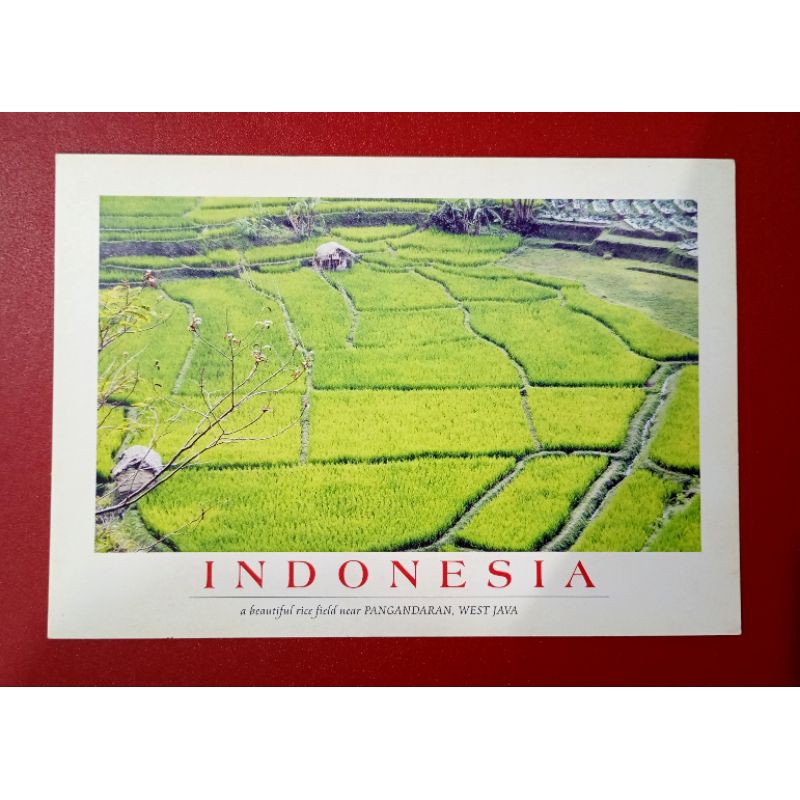 

KARTU POS INDONESIA A BEAUTIFUL RICE FIELD NEAR PANGANDARAN WEST JAVA