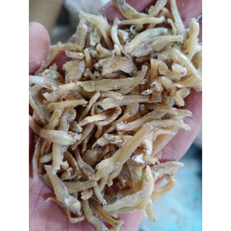 

teri pekto murah 1000 gram