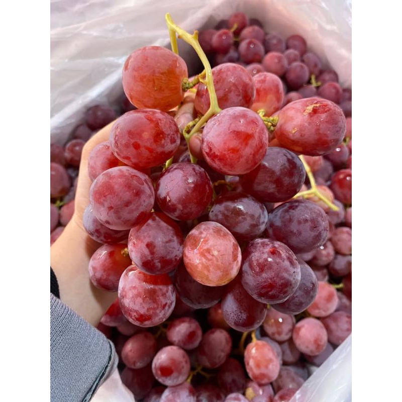 

Anggur Australia(500g)