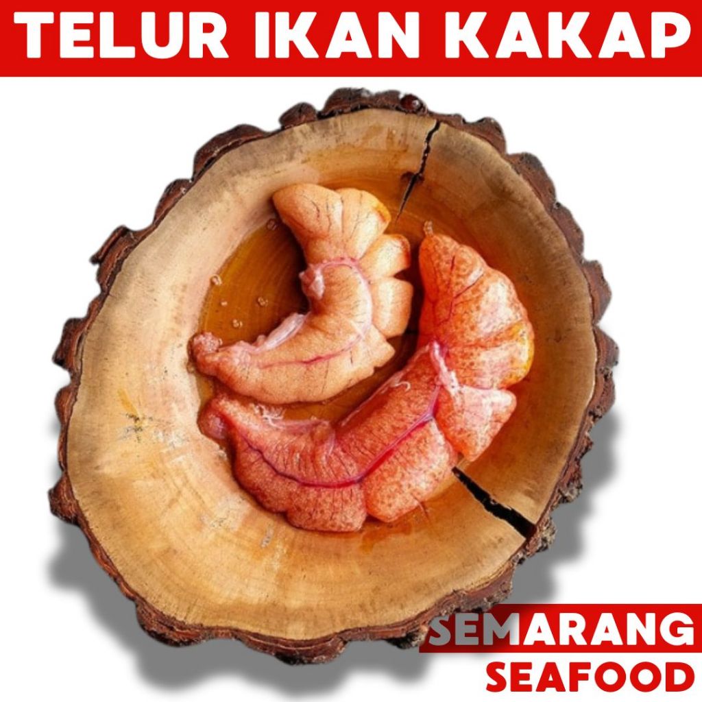 

Telur Ikan Kakap Premium | Telur Ikan Semarang | Ikan Segar Semarang | Ikan Fresh Semarang