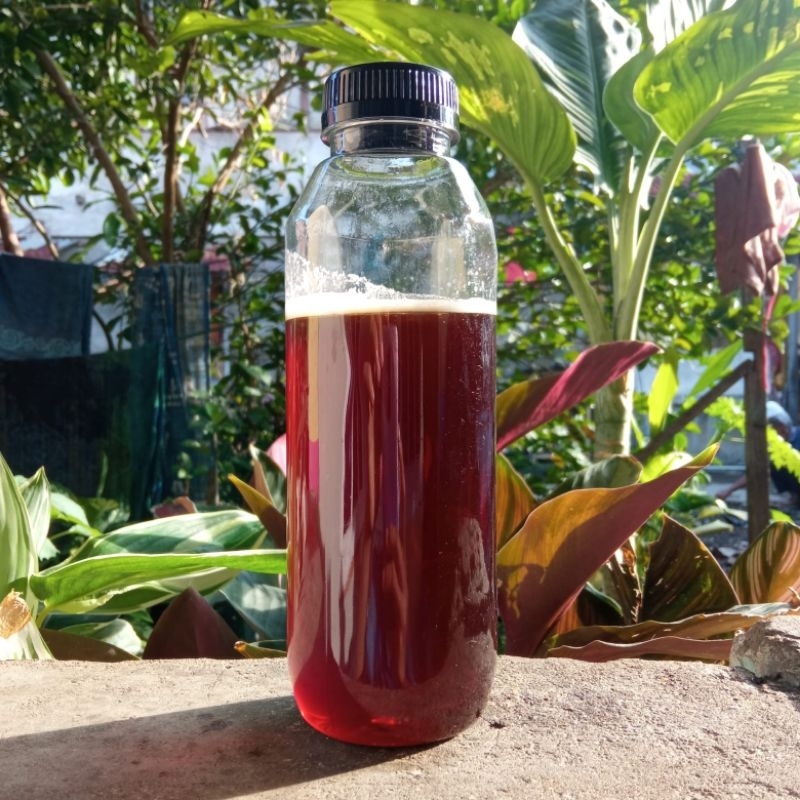 

madu akasia mangium 500gr/madu murni/madu hitam/madu asli/ madu murni /madu sab'ah/madu 1/2kg/madu asli 500g