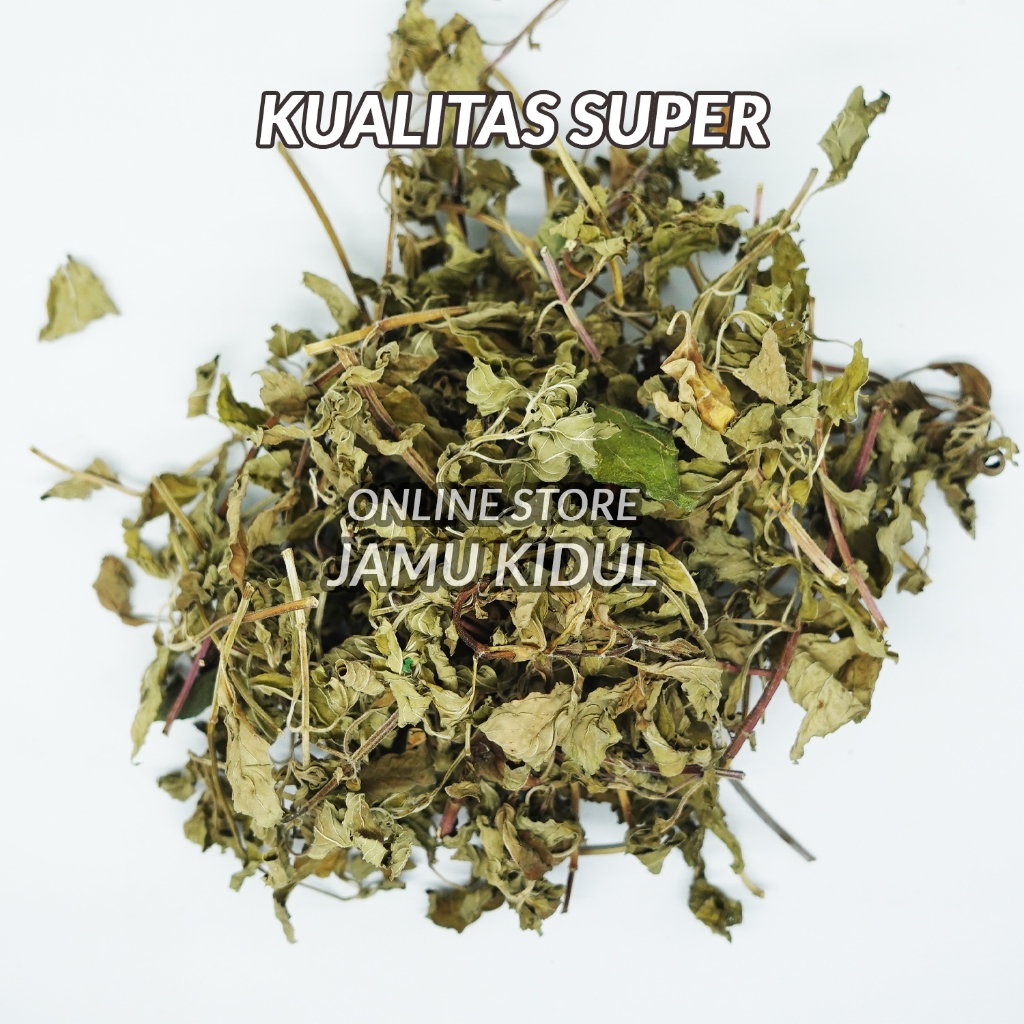 

Daun Stevia 100gr Kering Asli - Organik dan Bersih