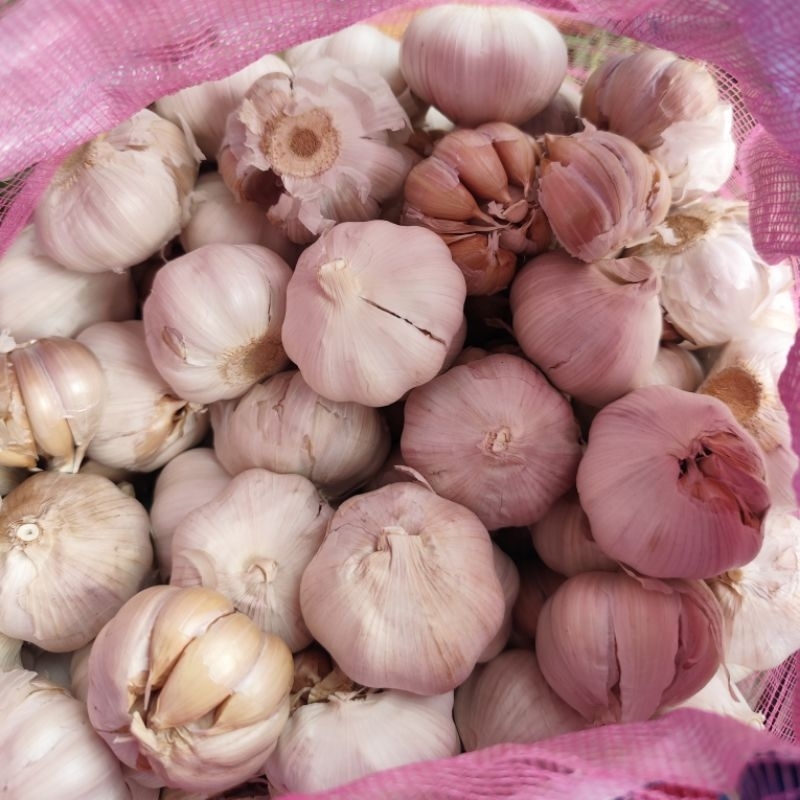 

Bawang putih 1 kg segar