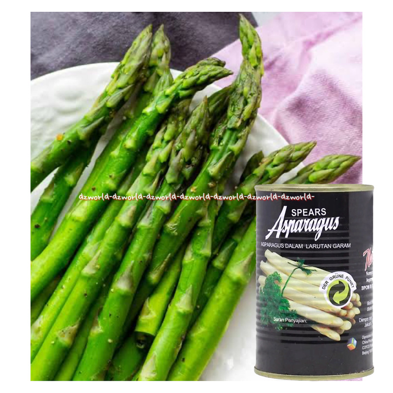 

Spears 430gr Asparagus Dalam Larutan Garam Kemasan Kaleng Instan Aspa Ragus