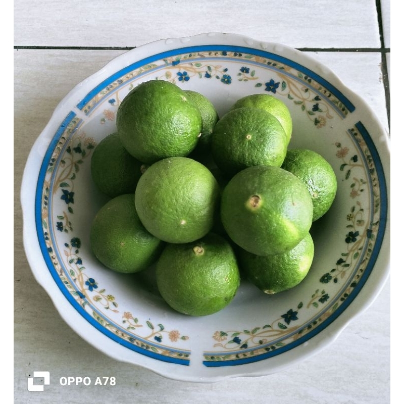 

jeruknipis