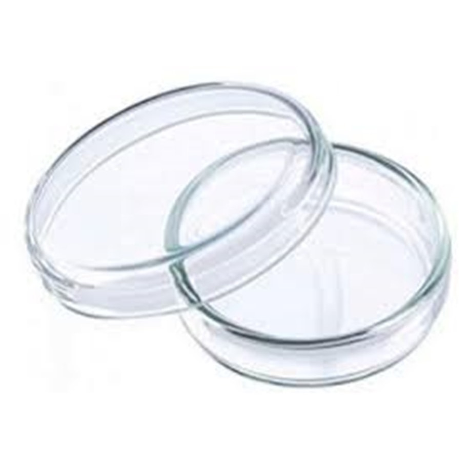 Cawan Petri |Dia 100mm