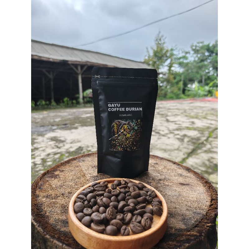 

KOPI GAYU