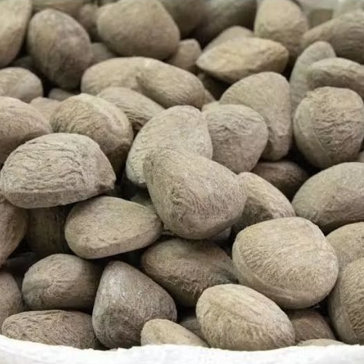 

Biji Pucung/Kepayang/Picung Mentah Utuh 1 Kg