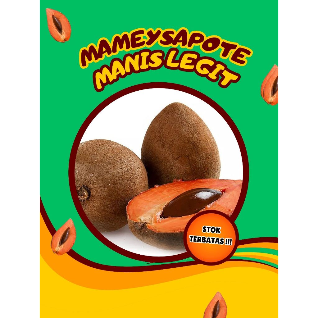 

STOK TERBATAS !! Mamey Sapote Paling Enak