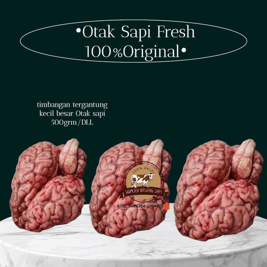 

Otak Sapi Lokal Fresh 100%Original (HALAL)