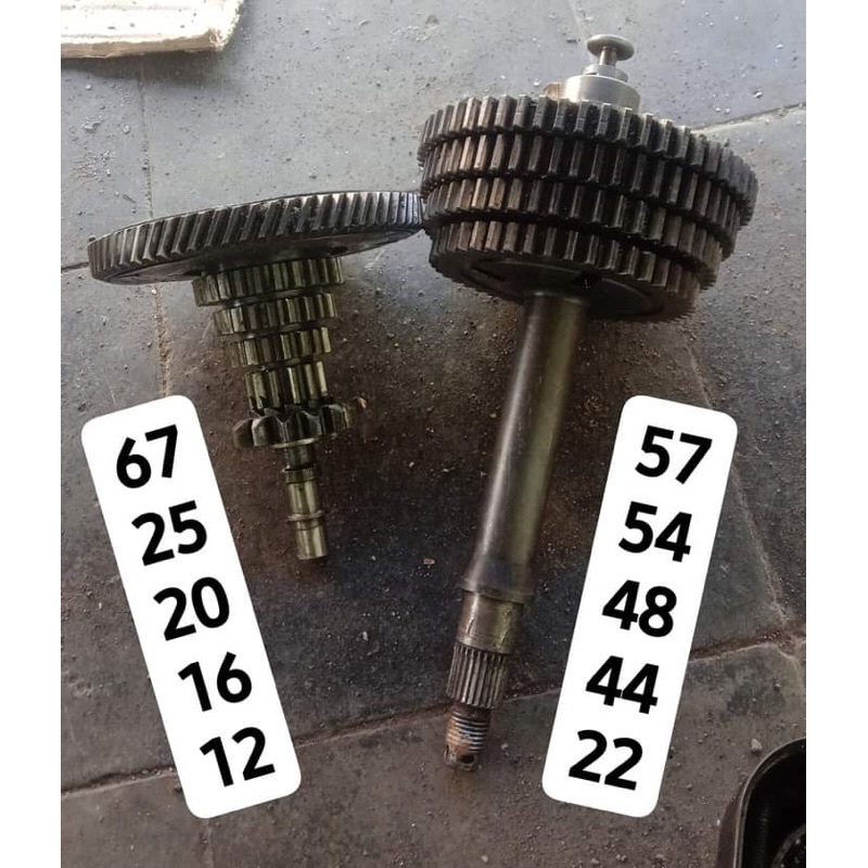 gigi borobudur vespa excel