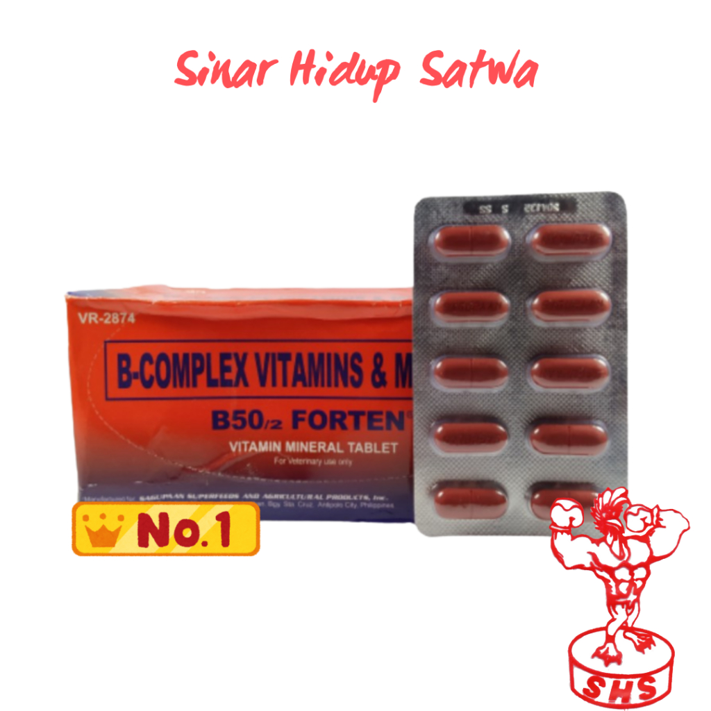 B50 vitamin obat ayam import