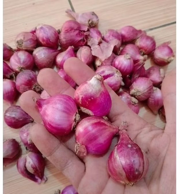 

bawang brebes 1kg ukuran super dan kering
