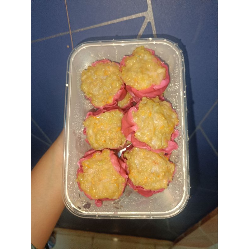 

DIMSUM FROZEN ISI 9