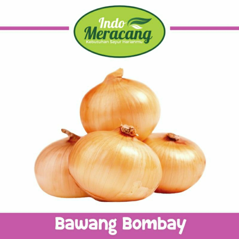 

BAWANG BOMBAY 500 GRAM MURAH