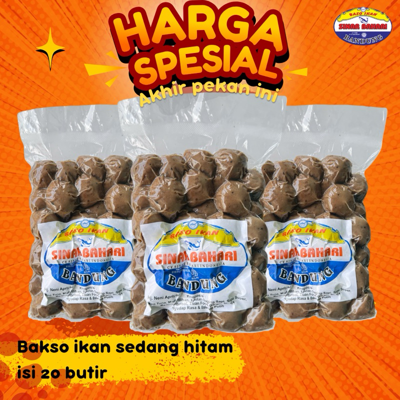 

SINARBAHARI.BDG | bakso ikan sedang hitam isi 20 butir