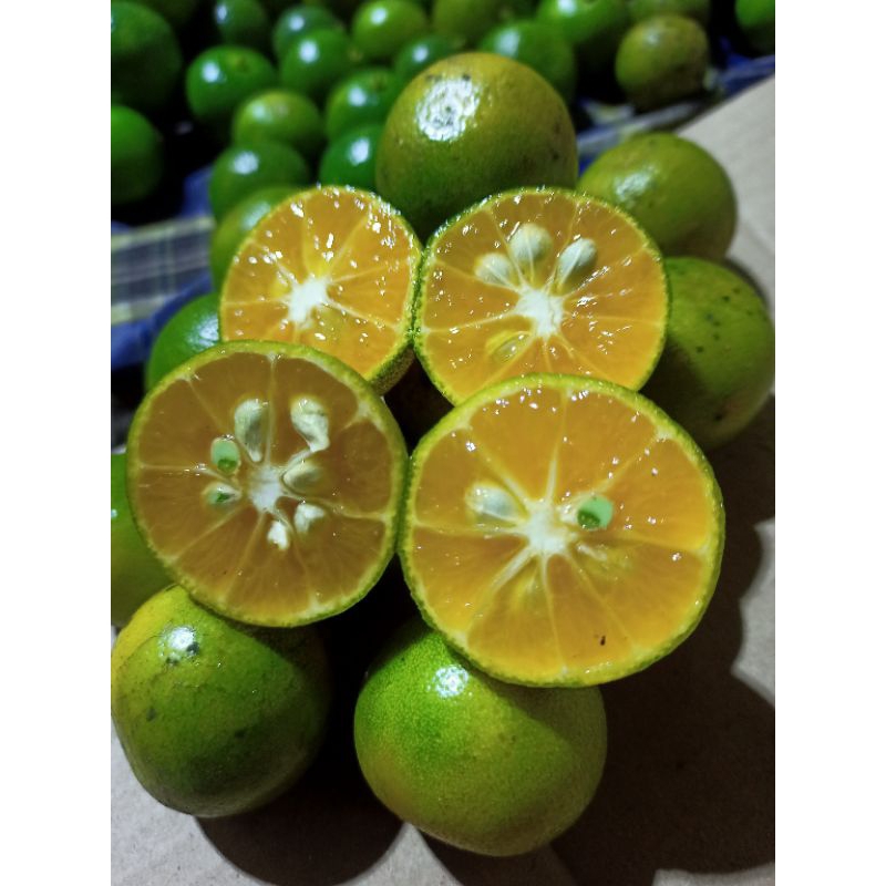 

1KG JERUK SONKIT/KASTURI/LEMON CUI/KUNCI HIJAU PRESH&SEGAR(UKURAN BESAR)
