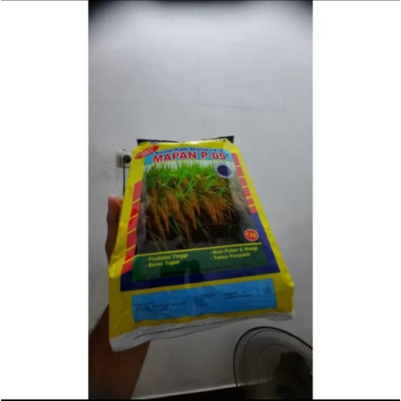 benih padi mapan P-05