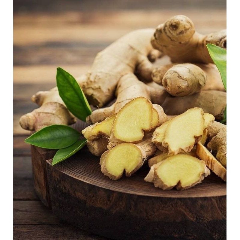 

Jahe segar berkualitas 1kg penambah cita rasa masakan