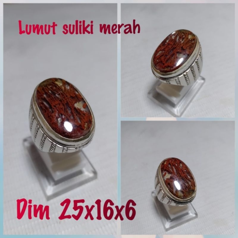 batu lumut suliki merah