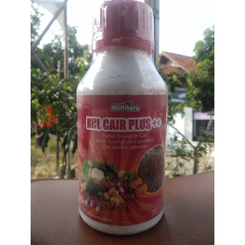 KCL cair 500ml