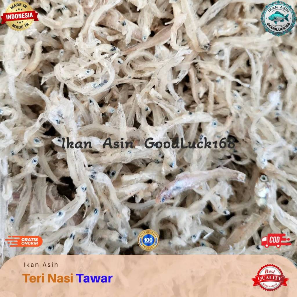 

Ikan Teri Nasi Tawar Putih Kering Kualitas Export / Pekbut / Teri Nasi Medan / TN Medan 250gram, 500gram, 1kg